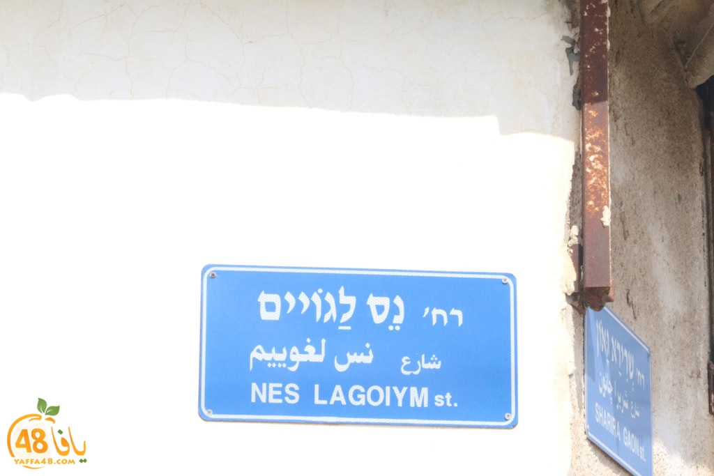 streetesasqq (19).jpg.jpg